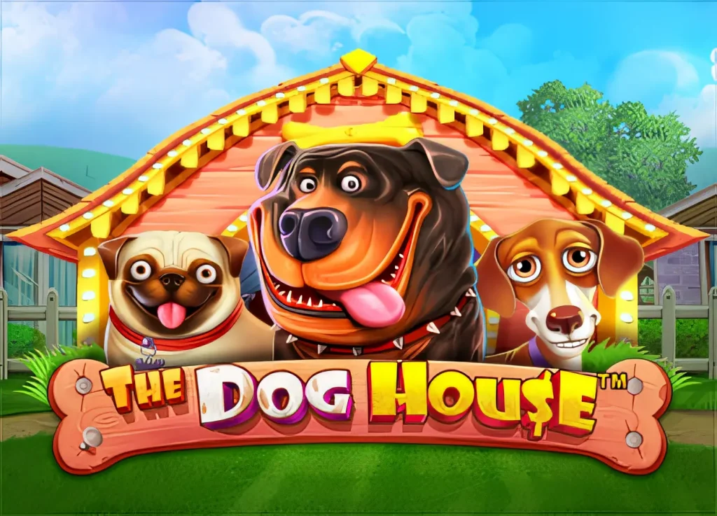 brbet-doghouse